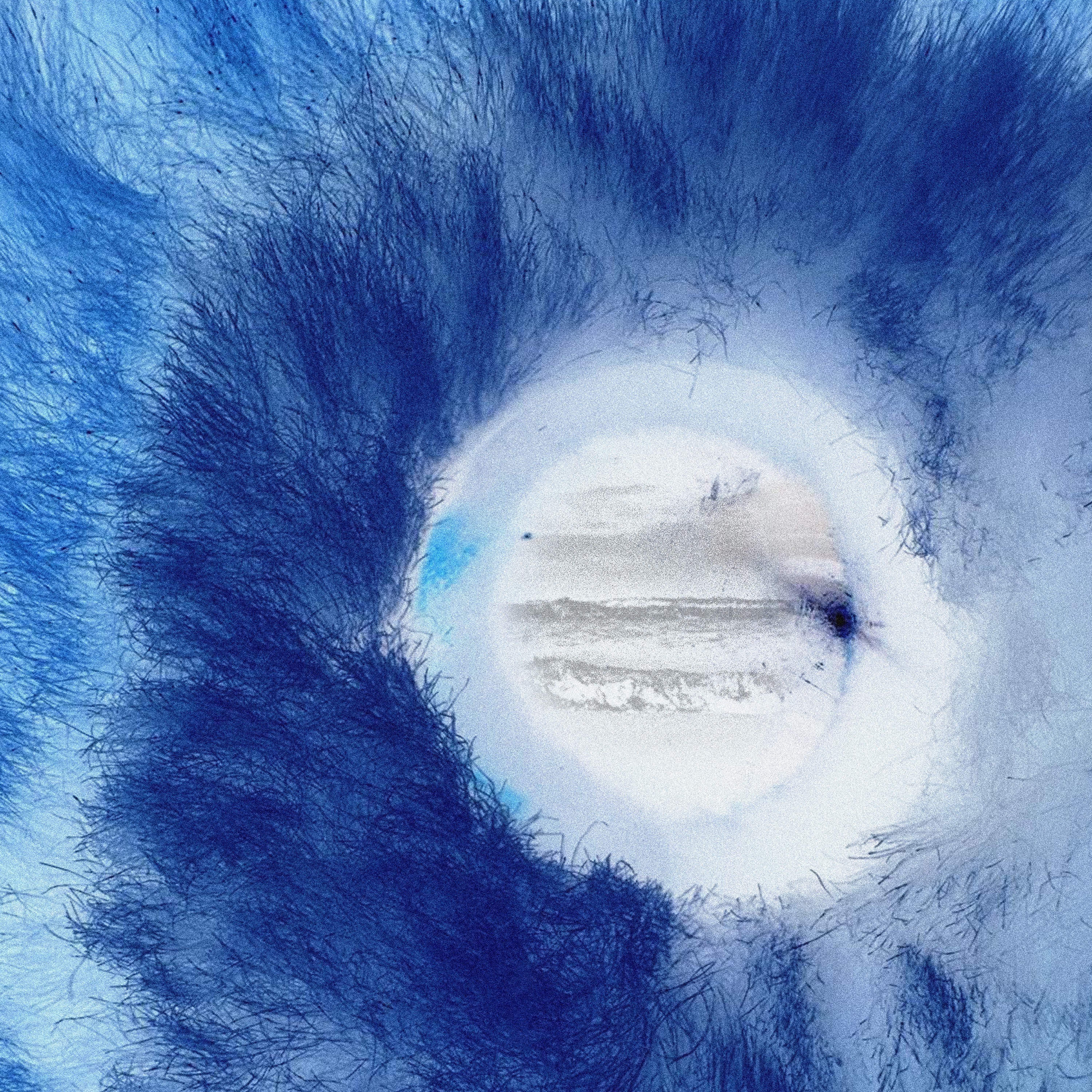 Oh! The Ocean: X-Rated - EP album cover