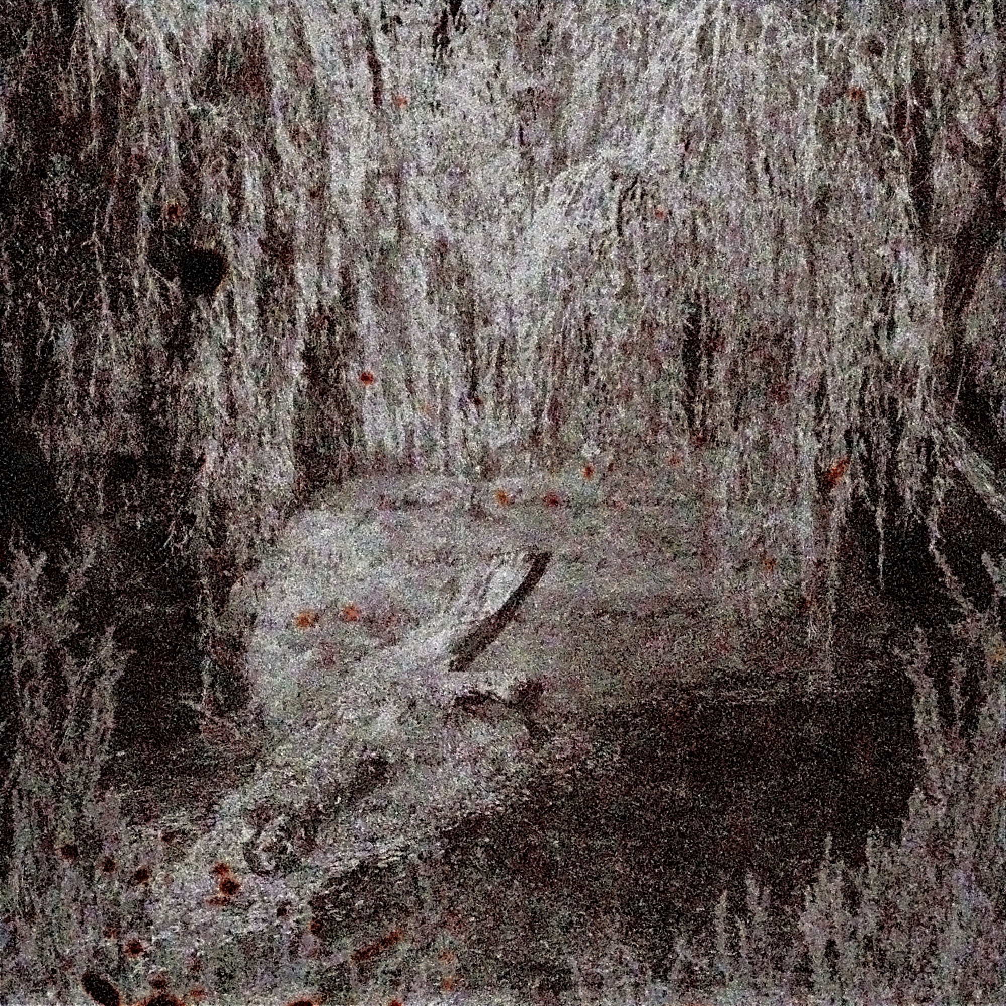 Minus Growth - Single album cover