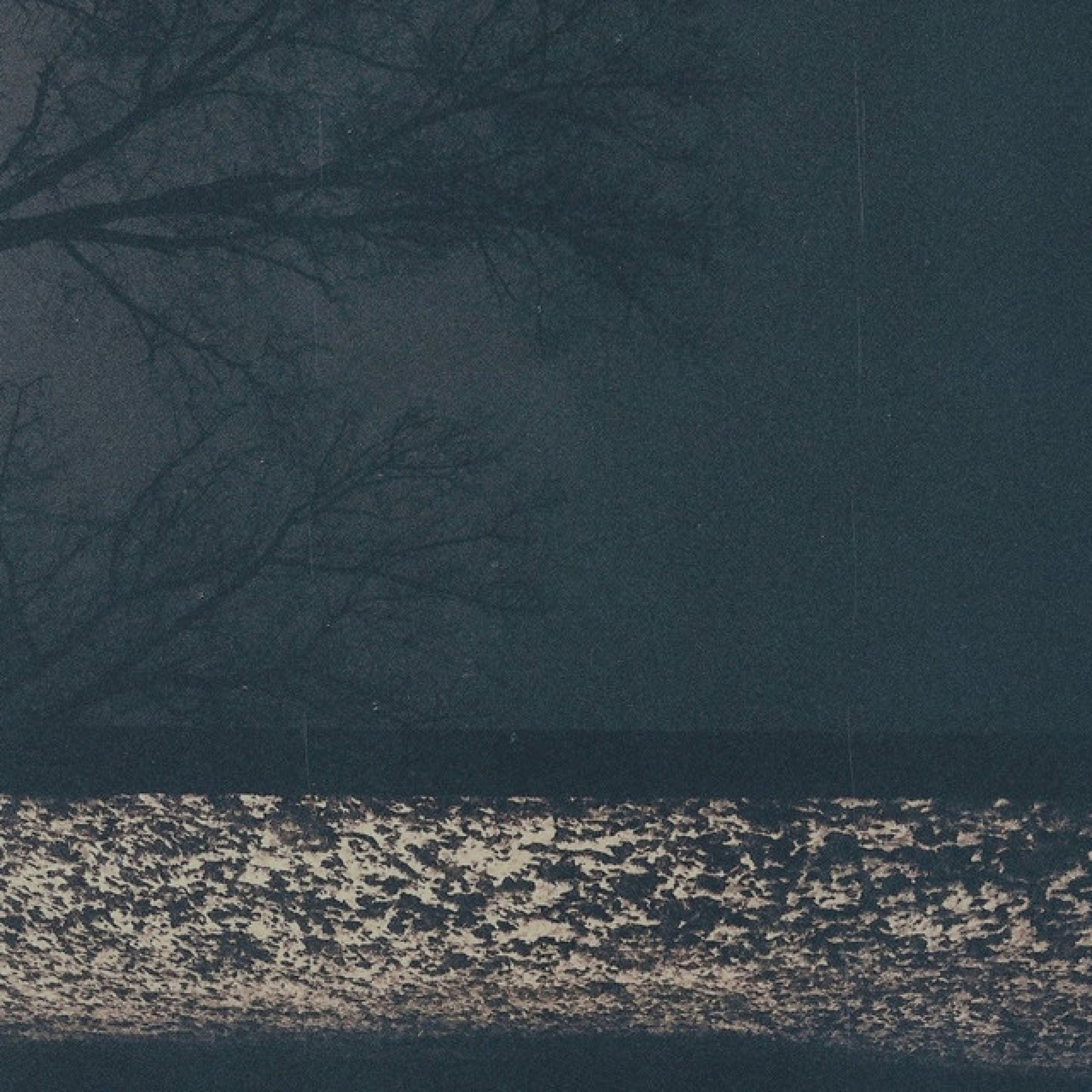 Virgo Indigo album cover