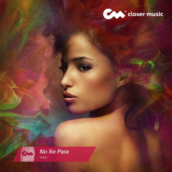 No Se Para (Instrumental) - Single album cover