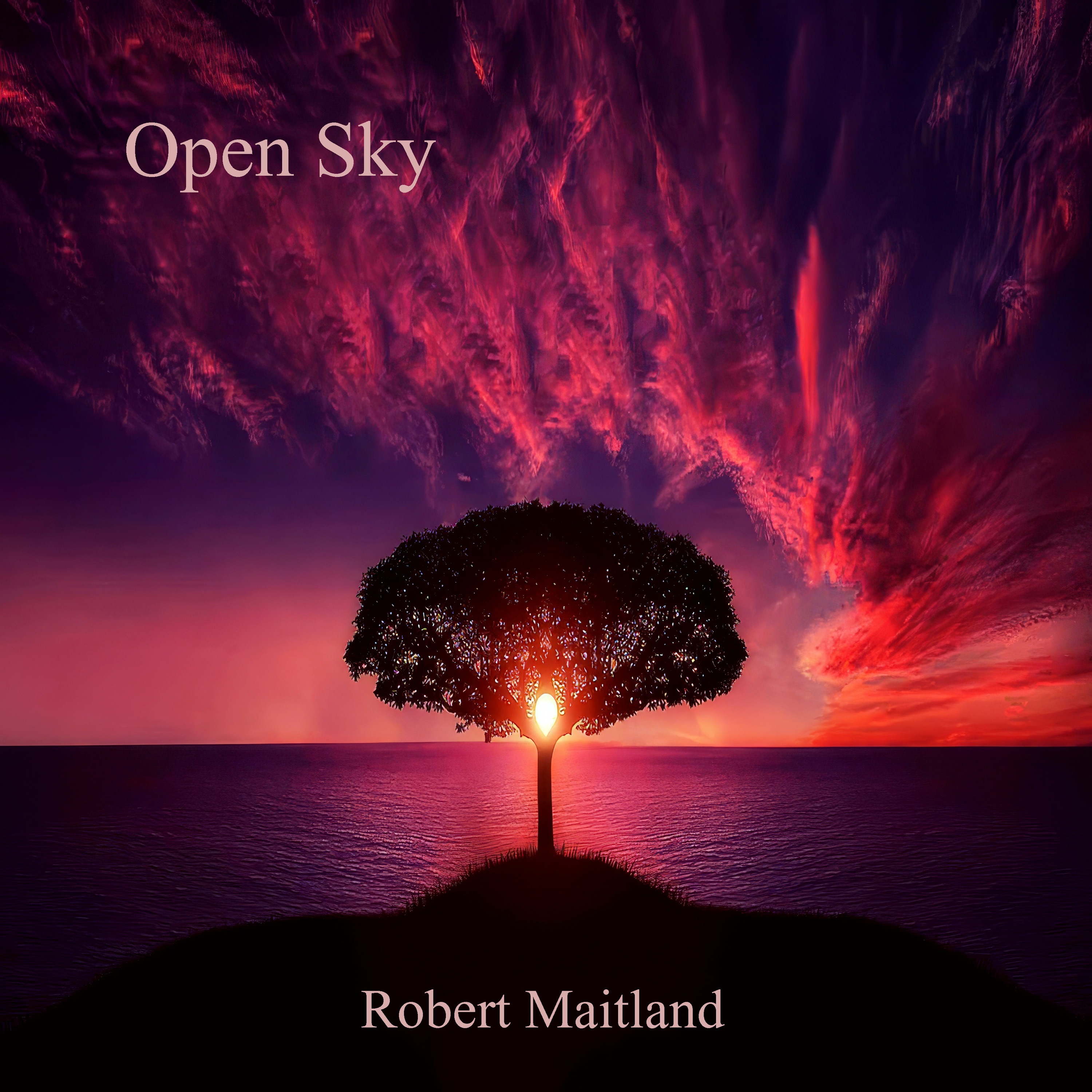 Open Sky - Single album cover