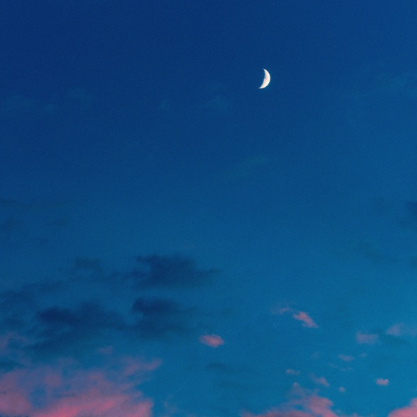 last couple days - Single album cover