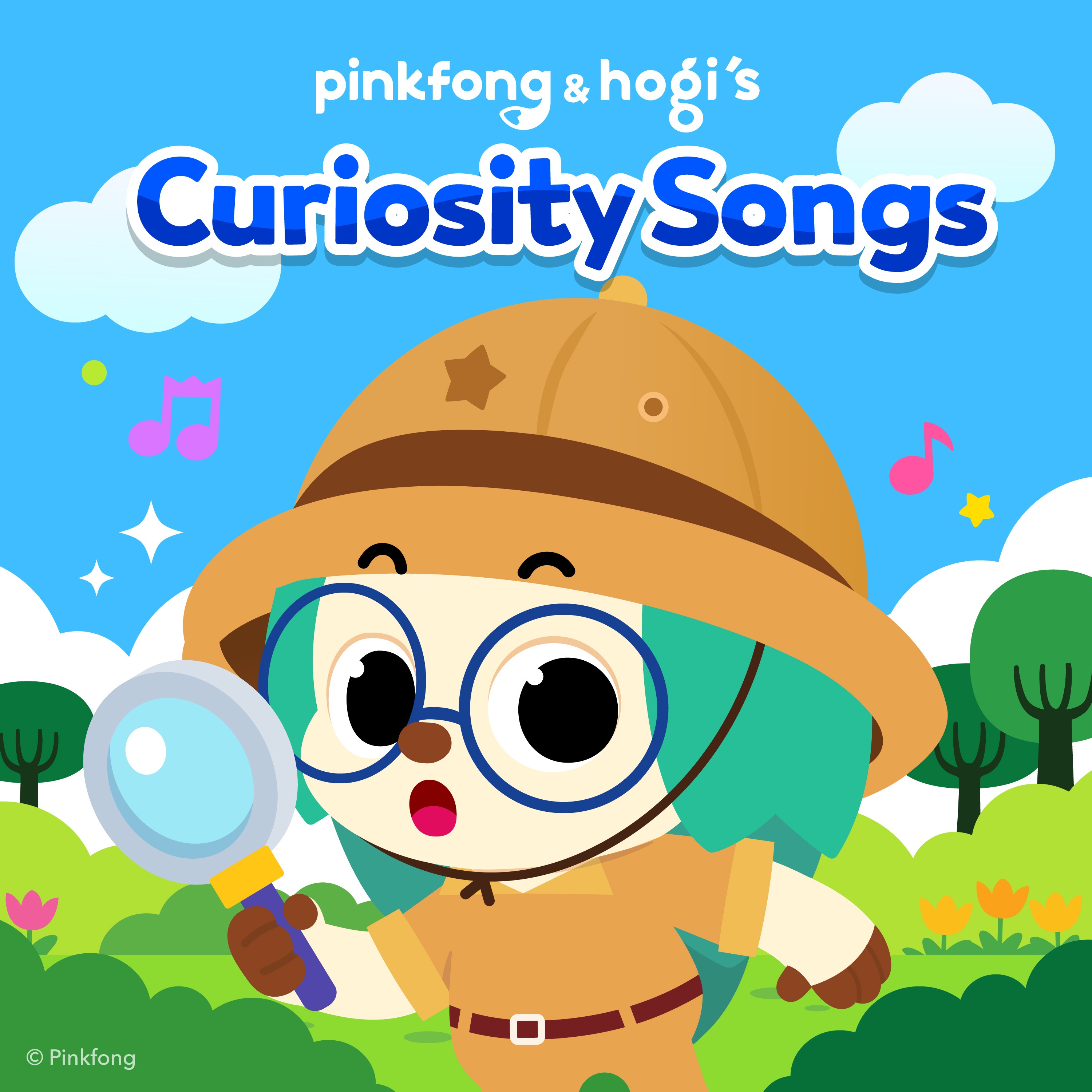 Hogi Curiosity Songs album cover