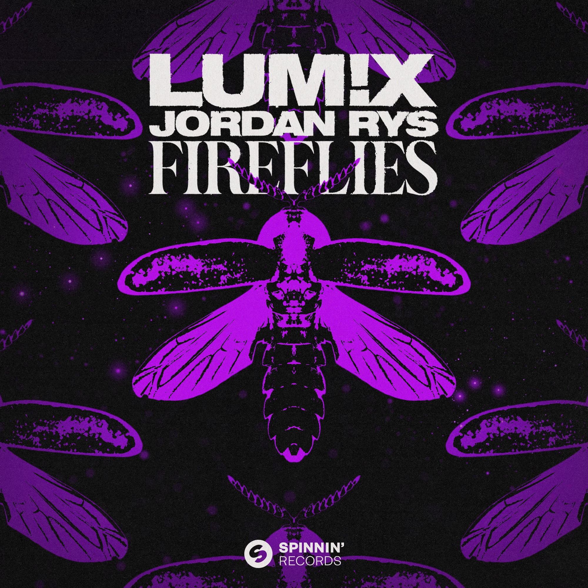 Fireflies (Extended Mix) - Single album cover