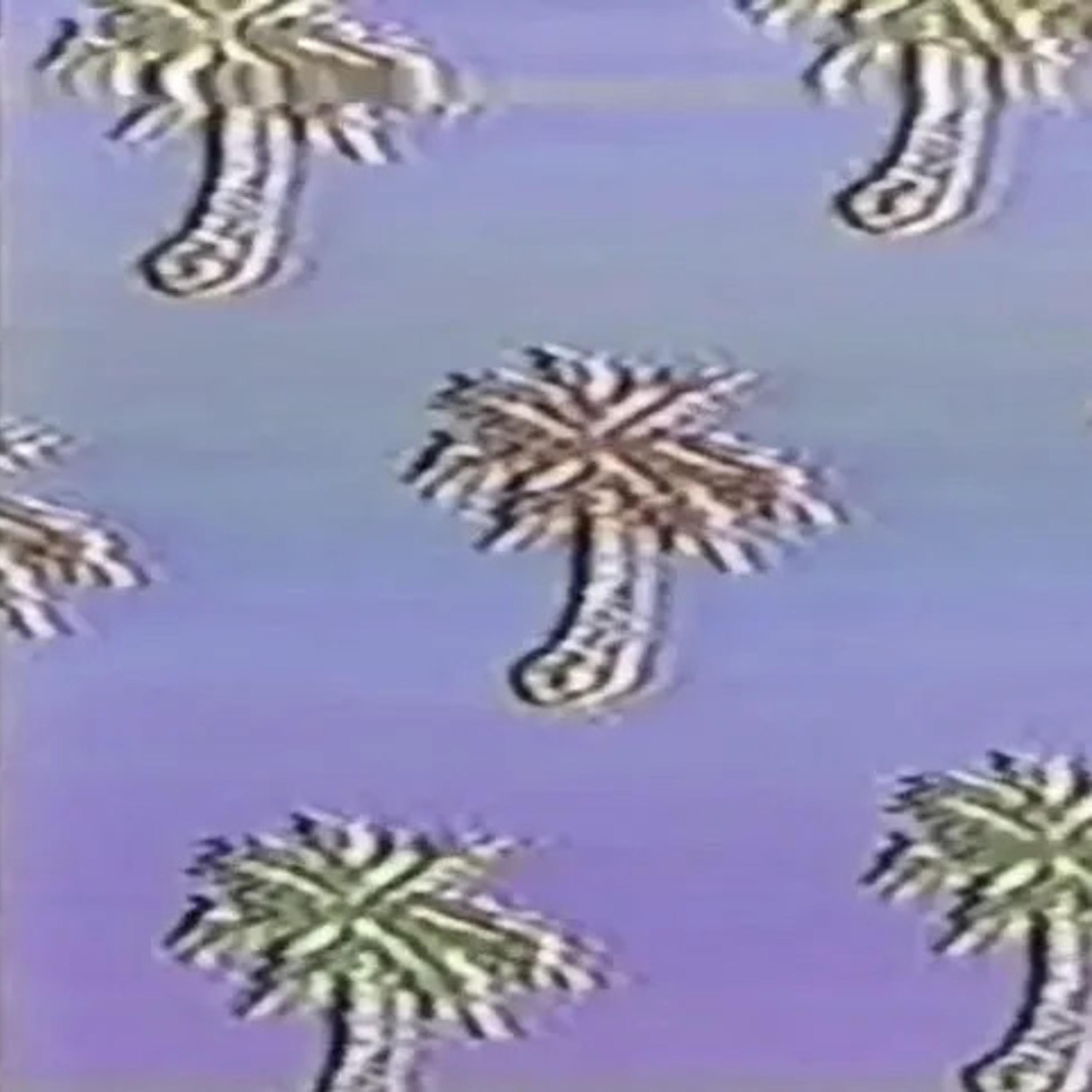 INTERLUDE - EP album cover