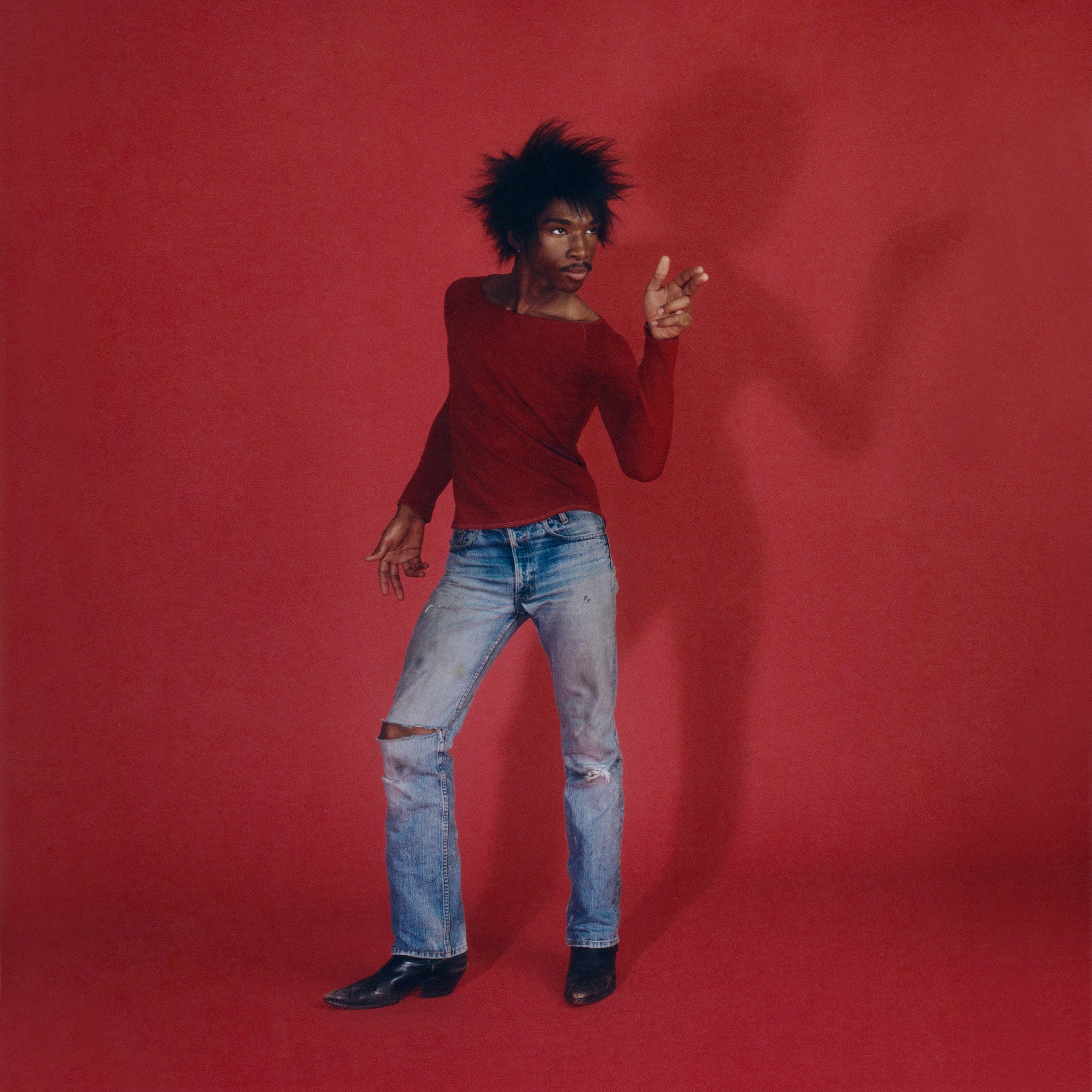 LOVE IS THE LAW album cover