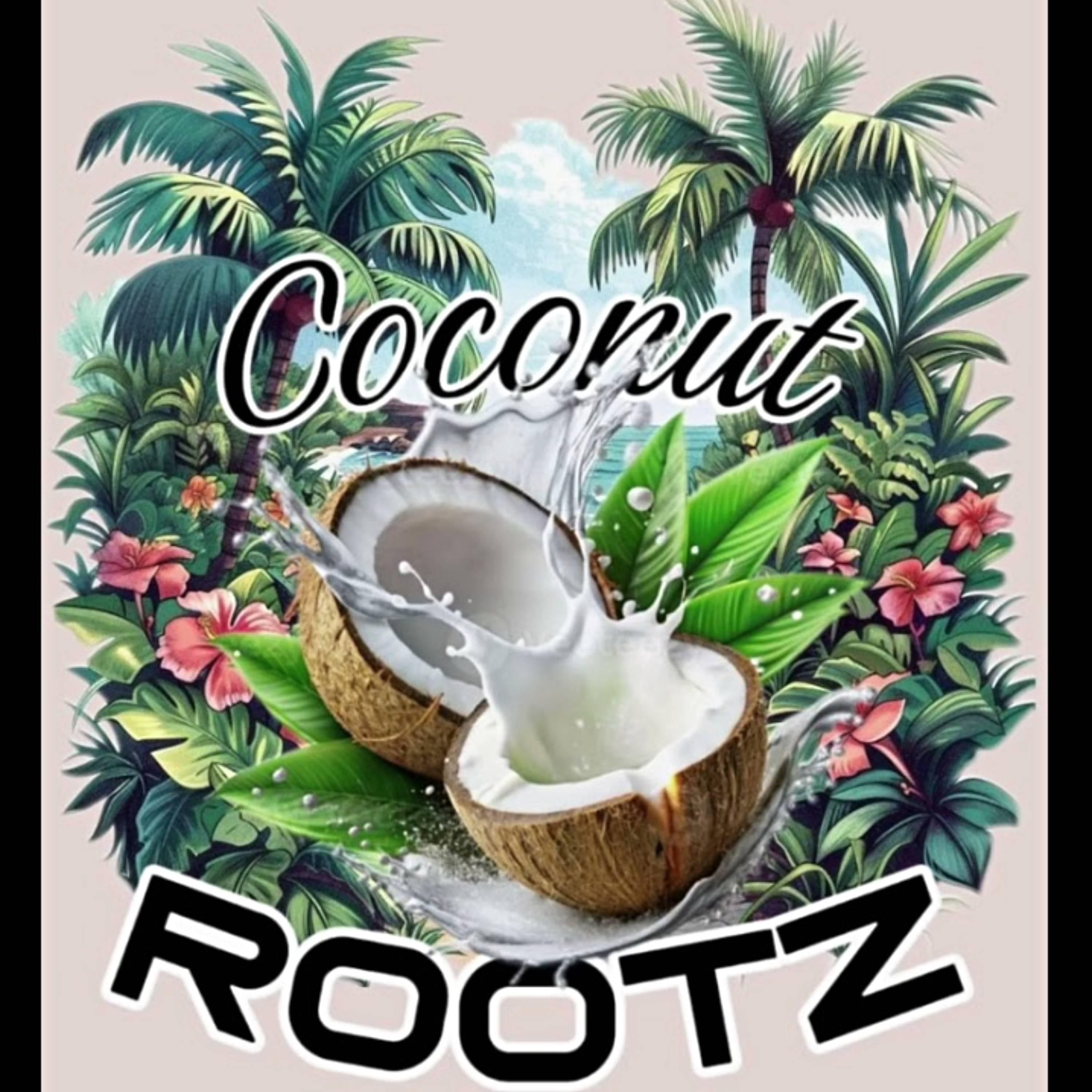 Coconut Rootz album cover