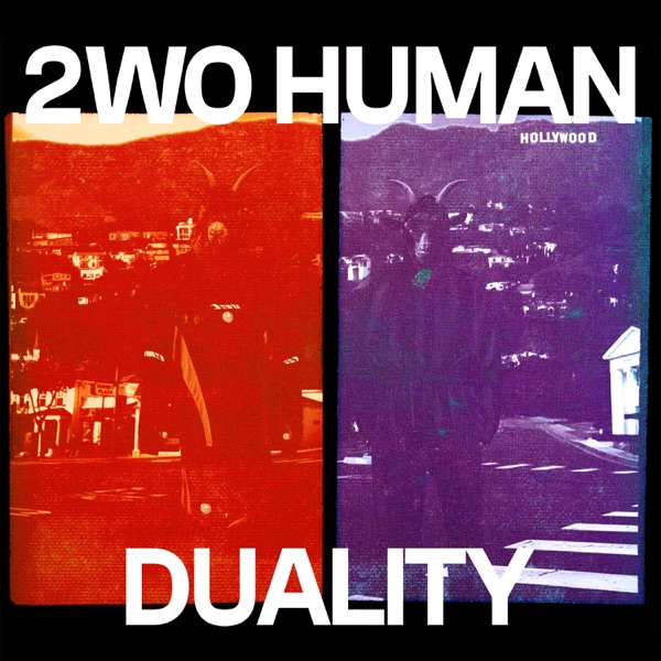 duality album cover