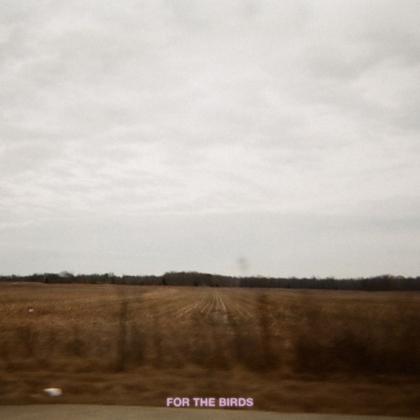 For the Birds - Single album cover