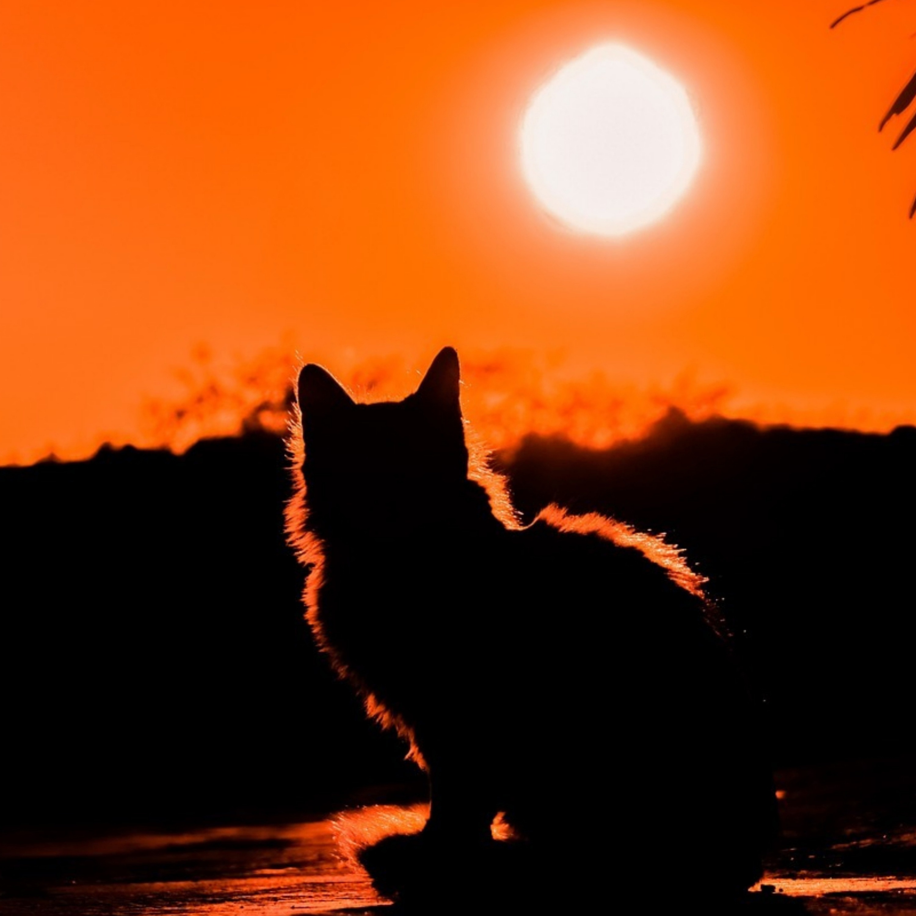 The Ernestine way - Single album cover