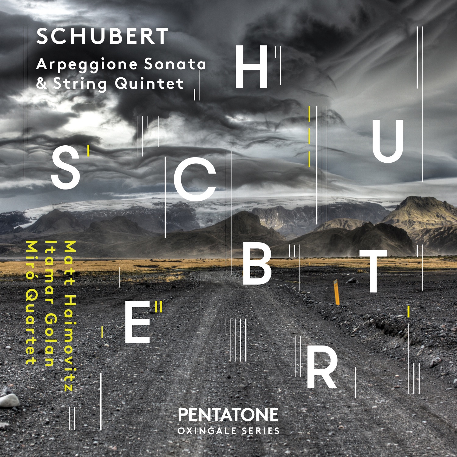 Schubert: Arpeggione Sonata & String Quintet album cover