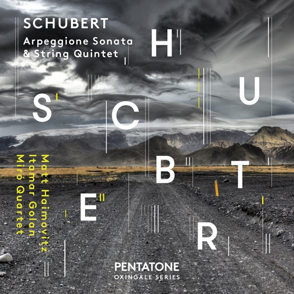 Schubert: Arpeggione Sonata & String Quintet album cover