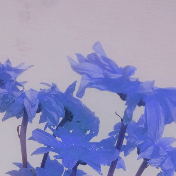 The Memories We Share (feat. Justin Vasquez) - Single album cover