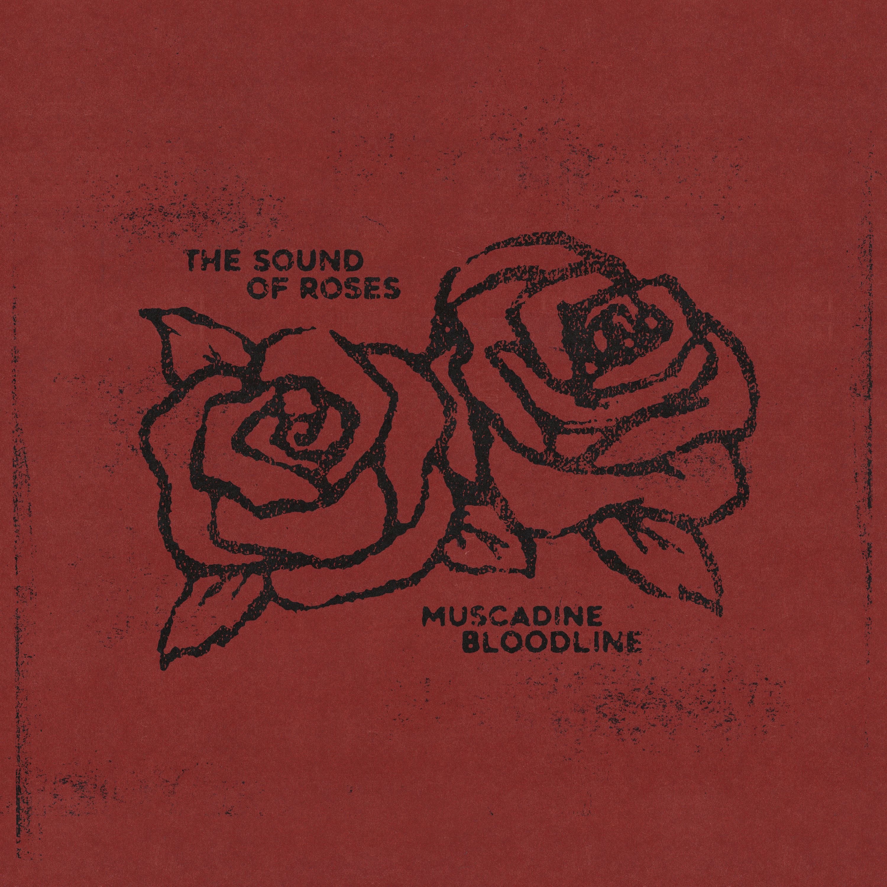 The Sound of Roses album cover