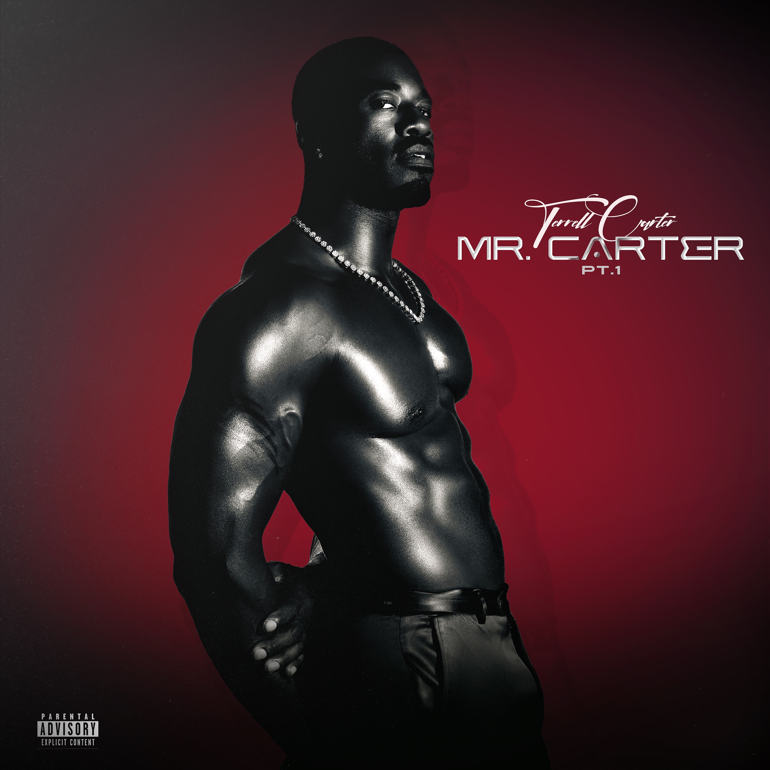 Mr. Carter album cover