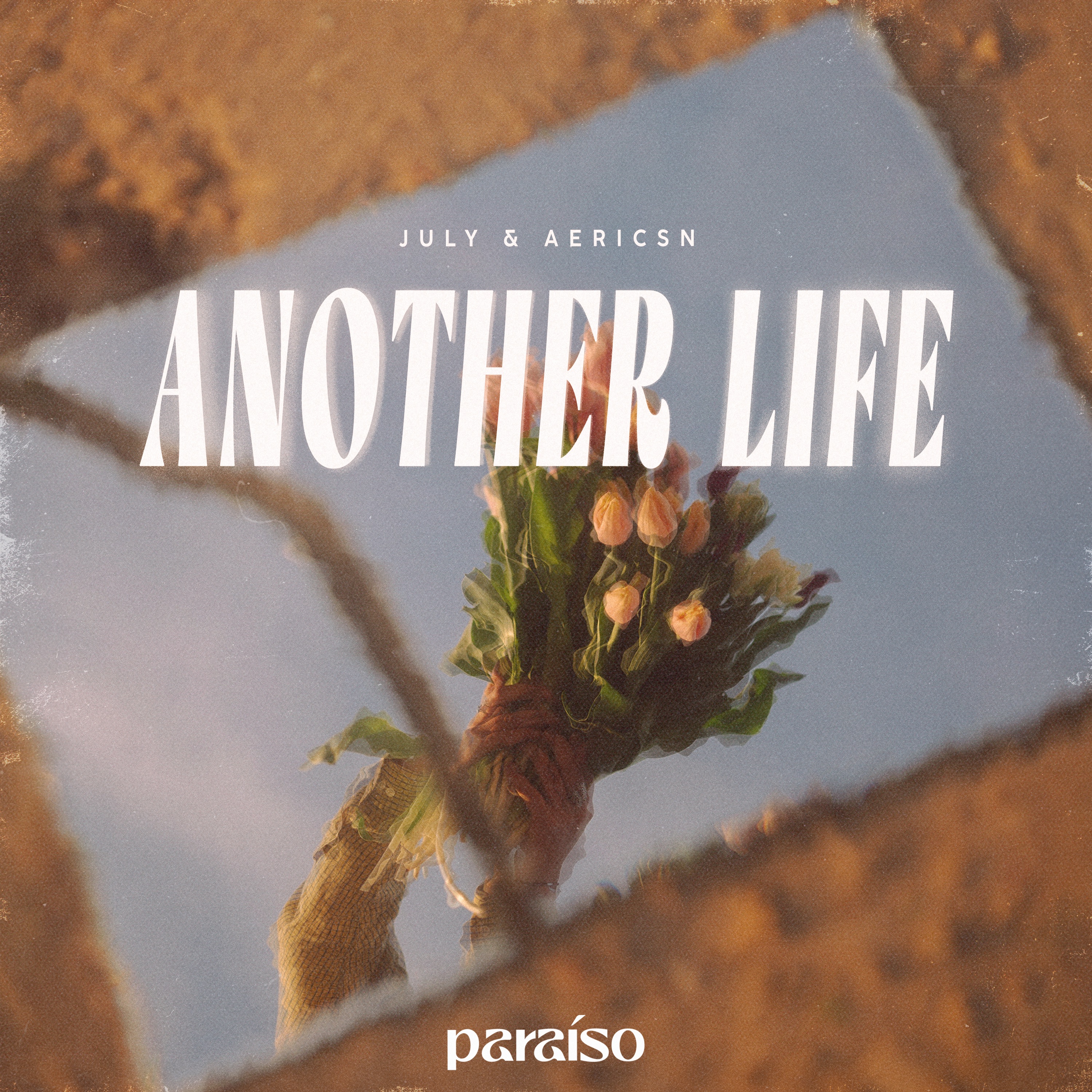 Another Life - Single album cover