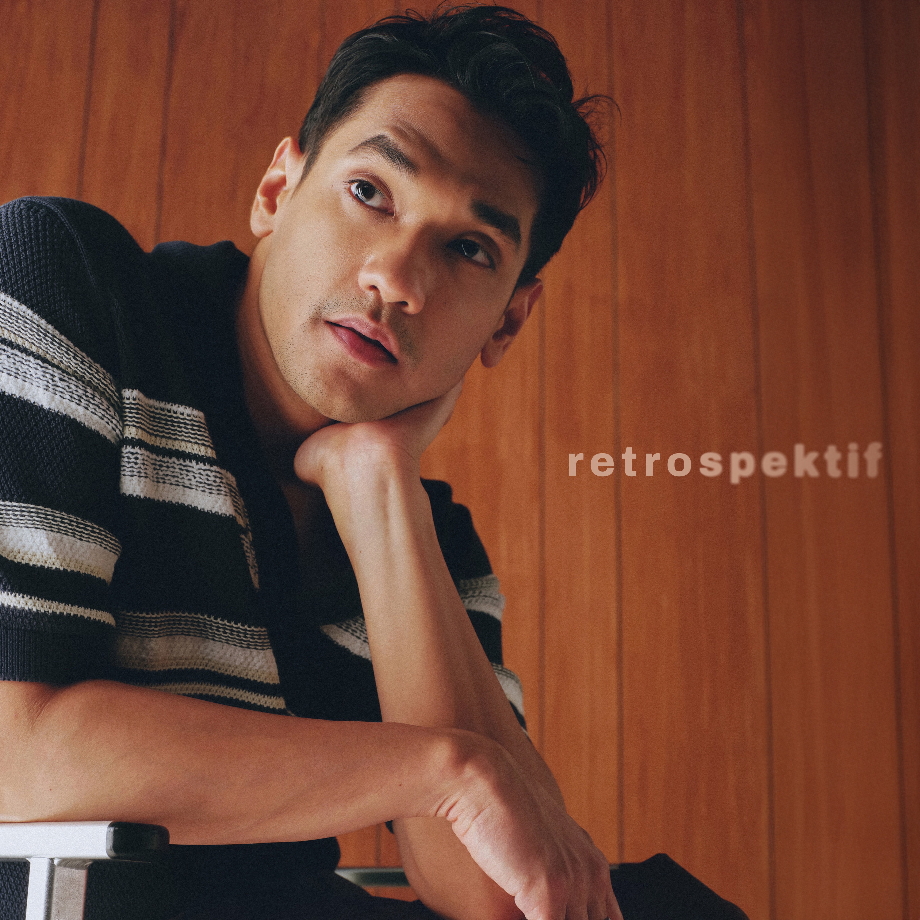 Retrospektif album cover