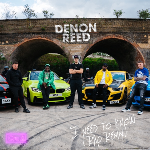 I need to know (feat. Cru2 & KAV) [Silky, MIST, Dizzee Rascal, KAV Remix] - Single album cover
