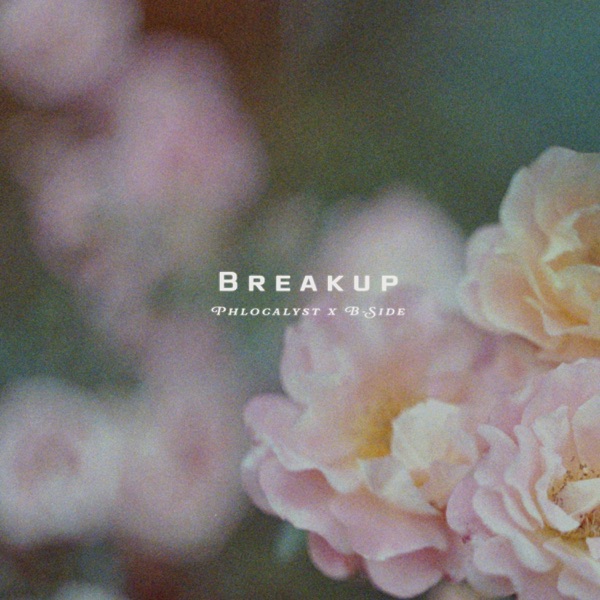 Breakup - Single album cover