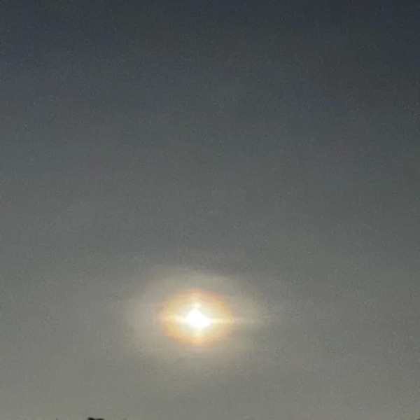 2CLVRHOE (feat. Yhapojj) - Single album cover