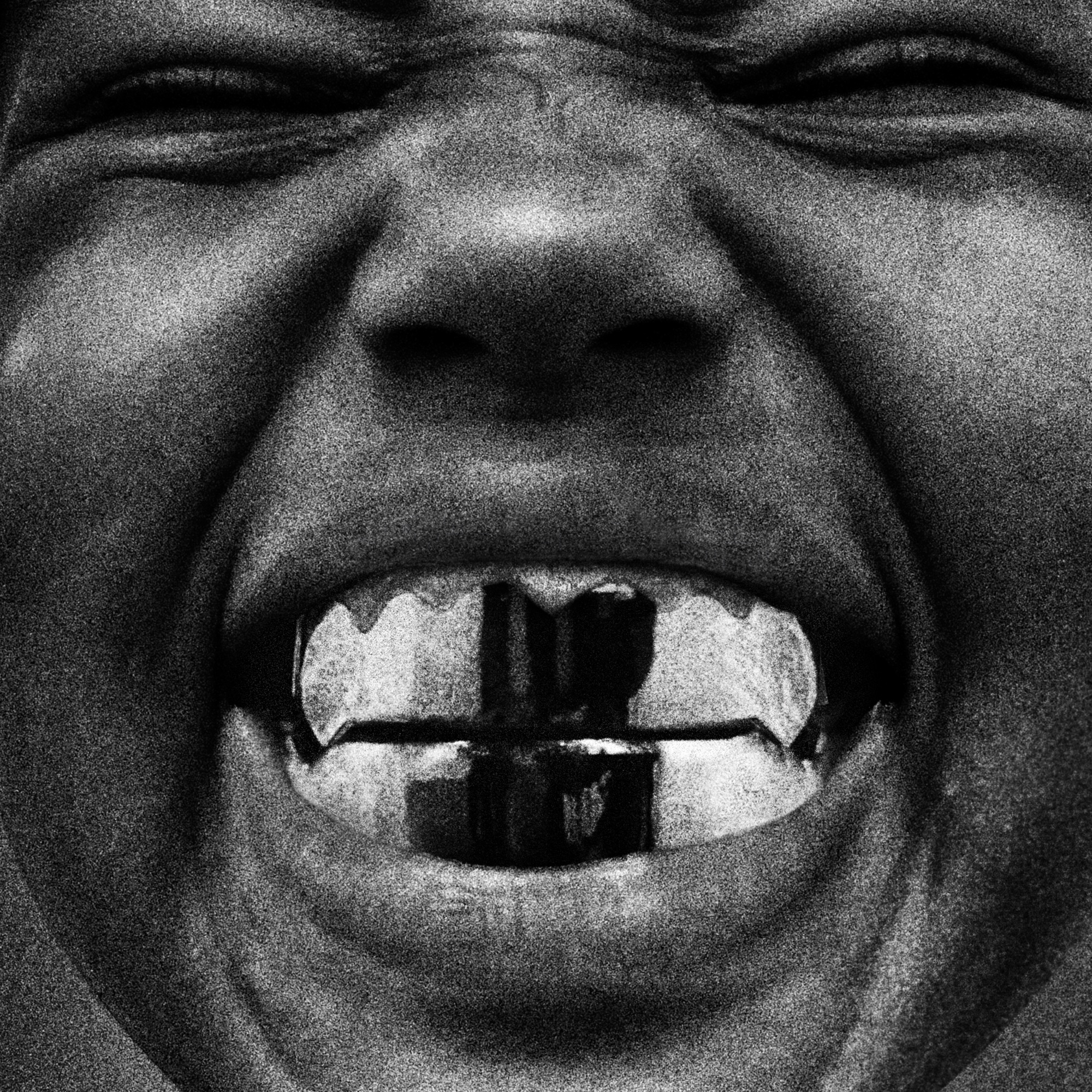 BULLY album cover