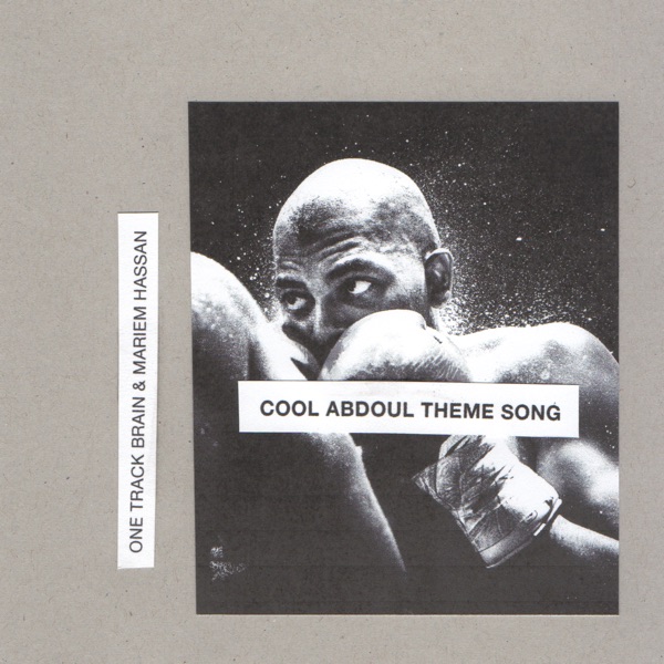 Cool Abdoul Theme Song - Single album cover