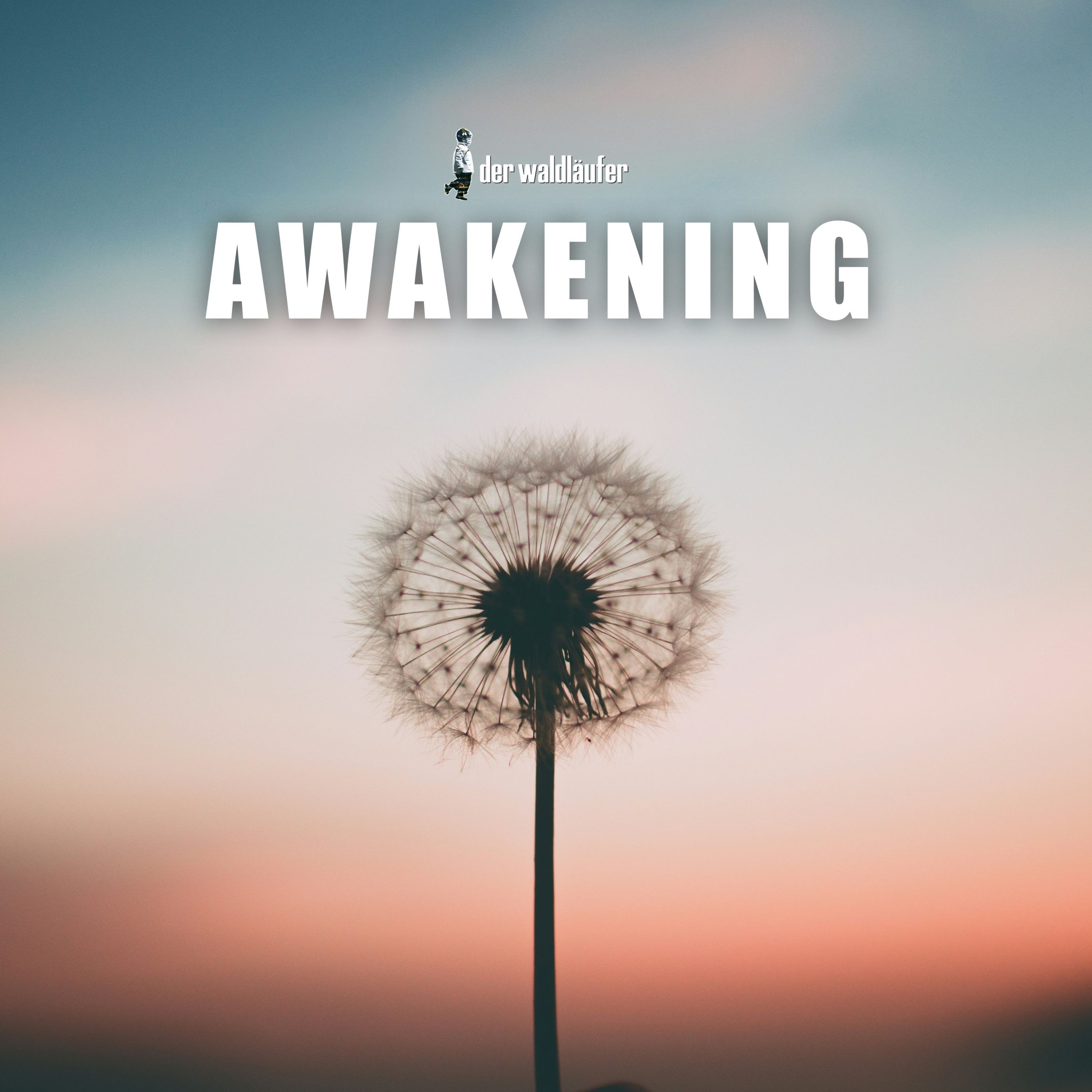 Awakening - Single album cover