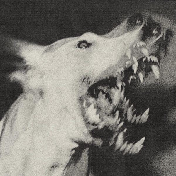 (angry noises) album cover