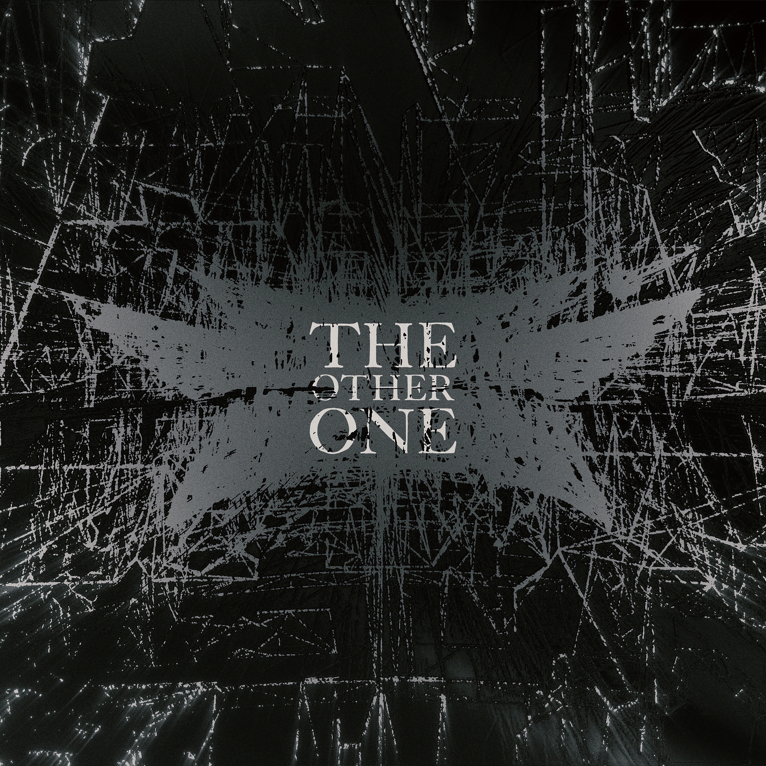 THE OTHER ONE album cover