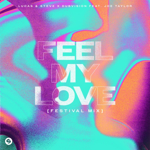 Feel My Love (feat. Joe Taylor) [Extended Festival Mix] - Single album cover