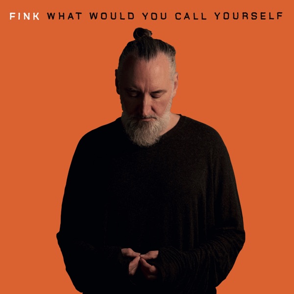 What Would You Call Yourself - Single album cover