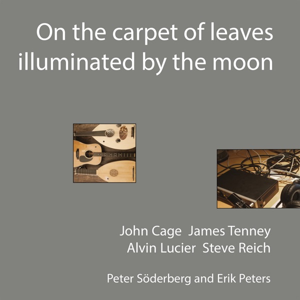 On the Carpet of Leaves Illuminated by the Moon album cover