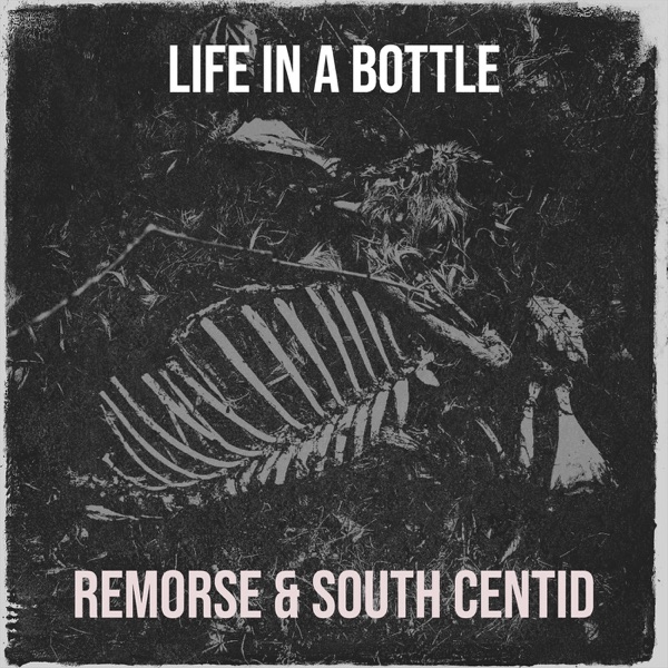 Life in a Bottle - Single album cover