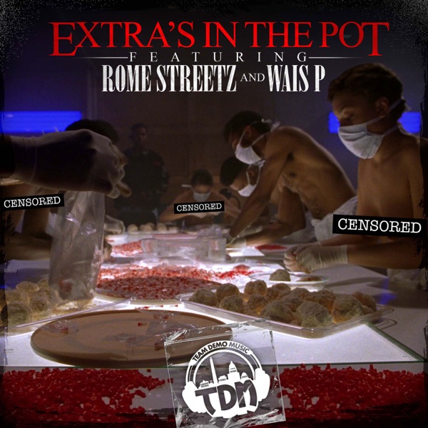 Extras In The Pot - Single album cover