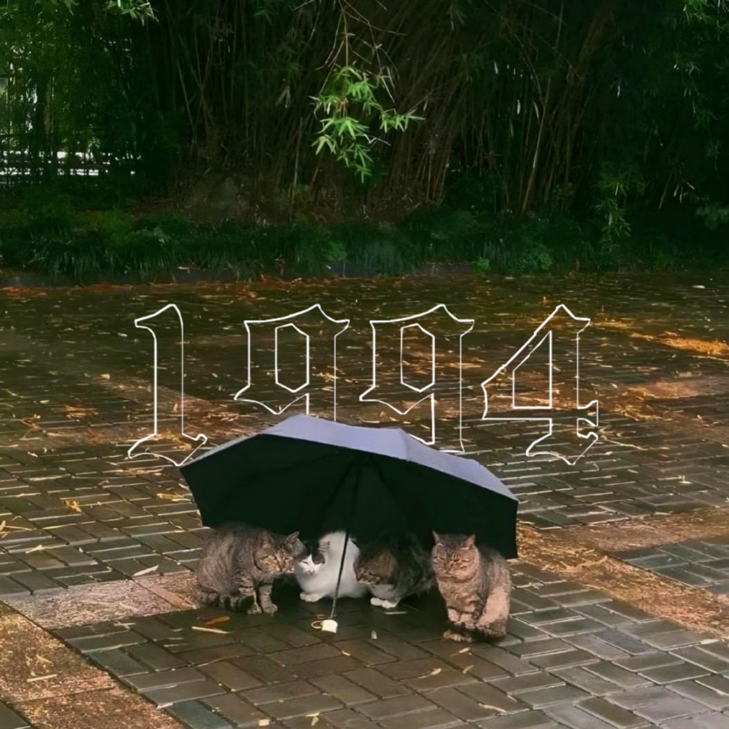 1994 - Single album cover