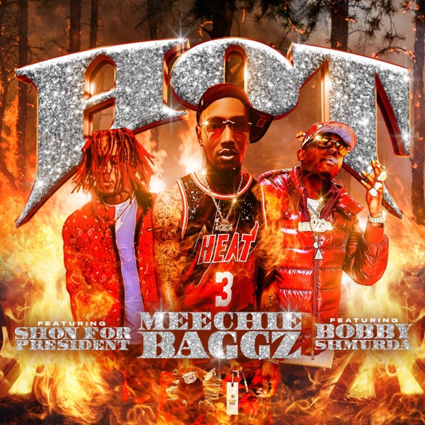 Hot (feat. Bobby Shmurda & SHON FOR PRESIDENT) - Single album cover