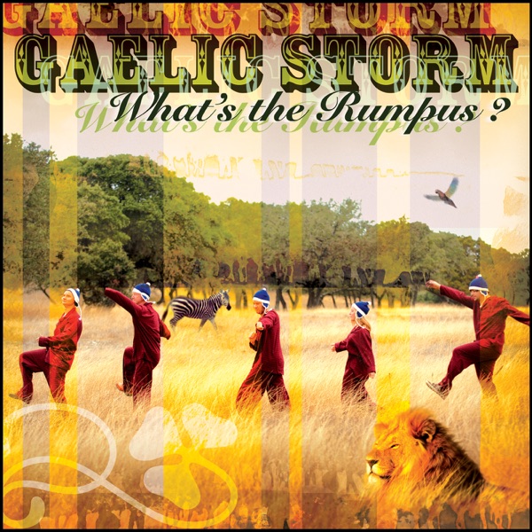 What's the Rumpus? album cover