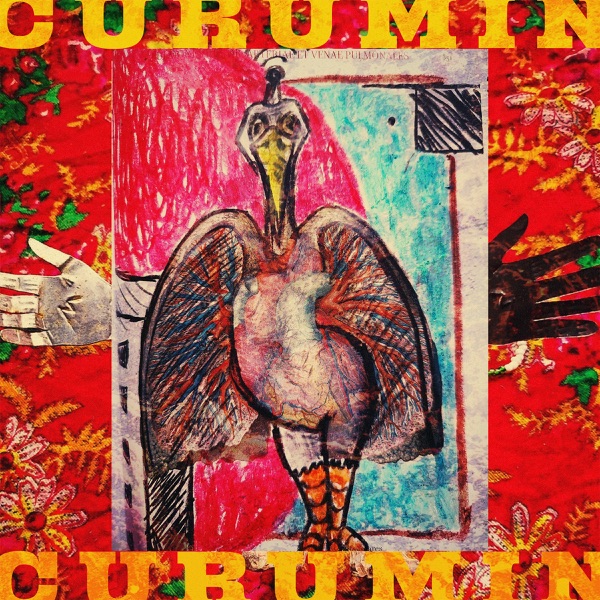 Flecha do dedo / Paixão faixa preta - Single album cover