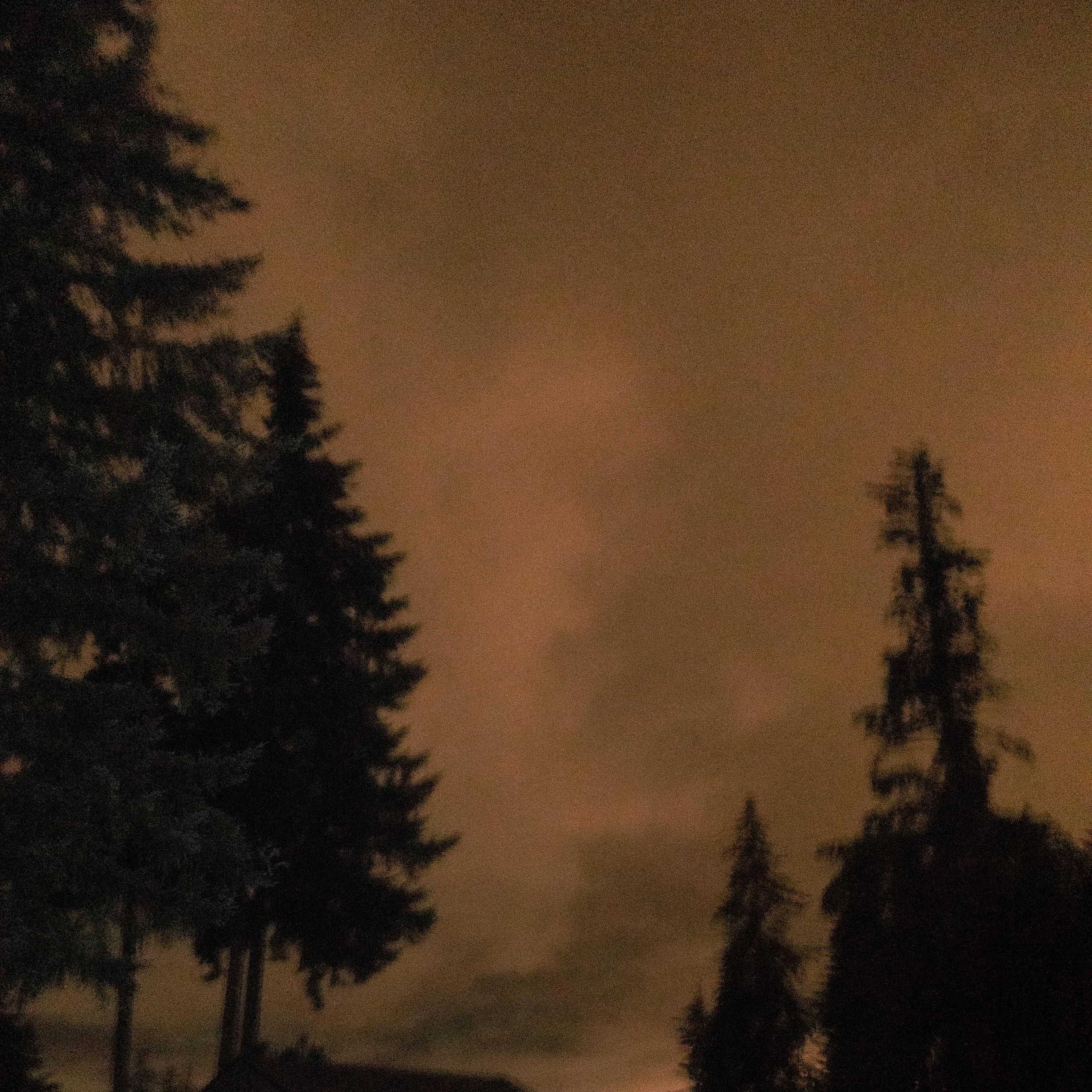 Man! - Single album cover