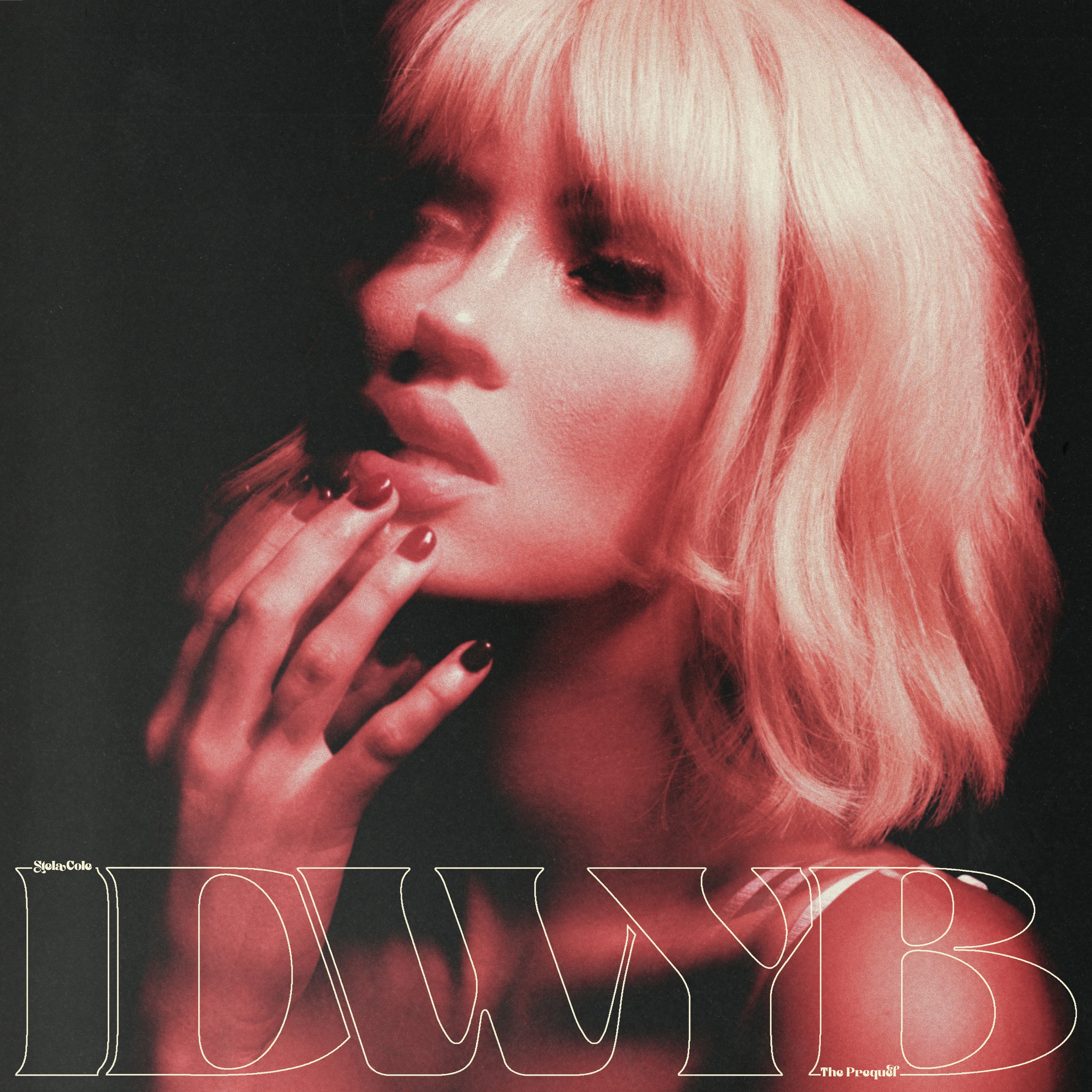 IDWYB : The Prequel - EP album cover