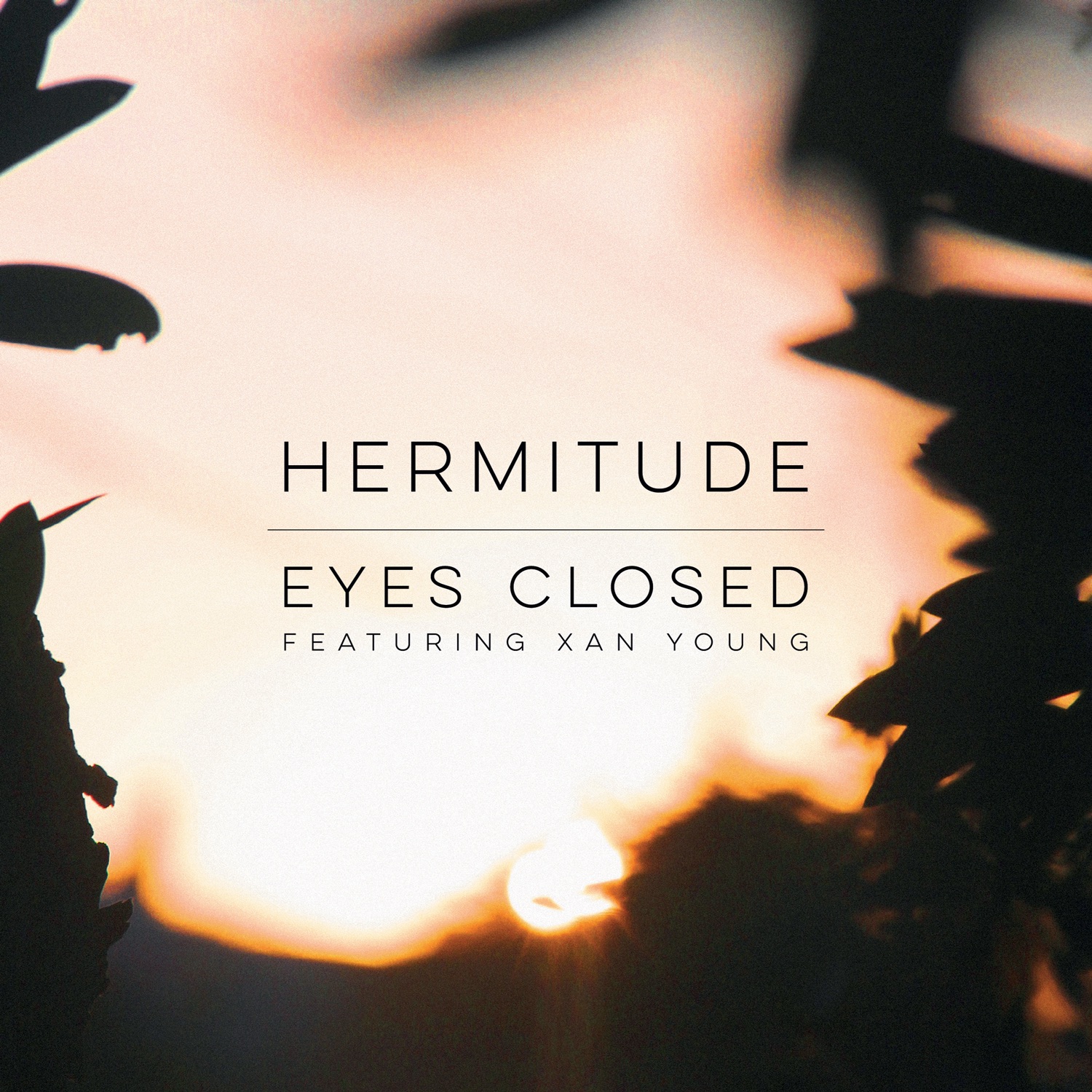Eyes Closed (feat. Xan Young) - Single album cover