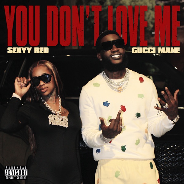 You Don’t Love Me - Single album cover