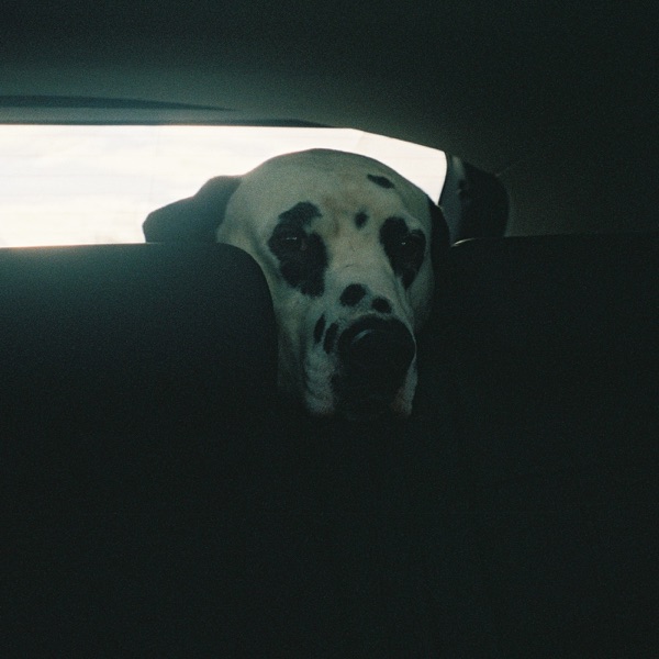 Chagrin - Single album cover