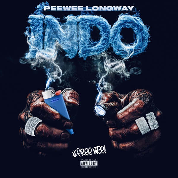 INDO album cover