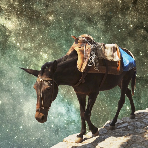 Horizons album cover