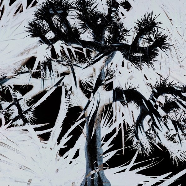 Plastic Tree album cover