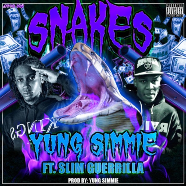 Snakes - Single album cover