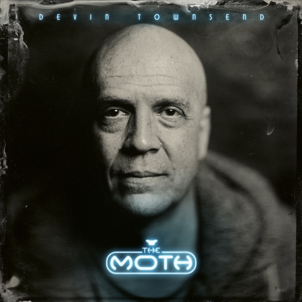 The Moth (Deluxe Edition) album cover