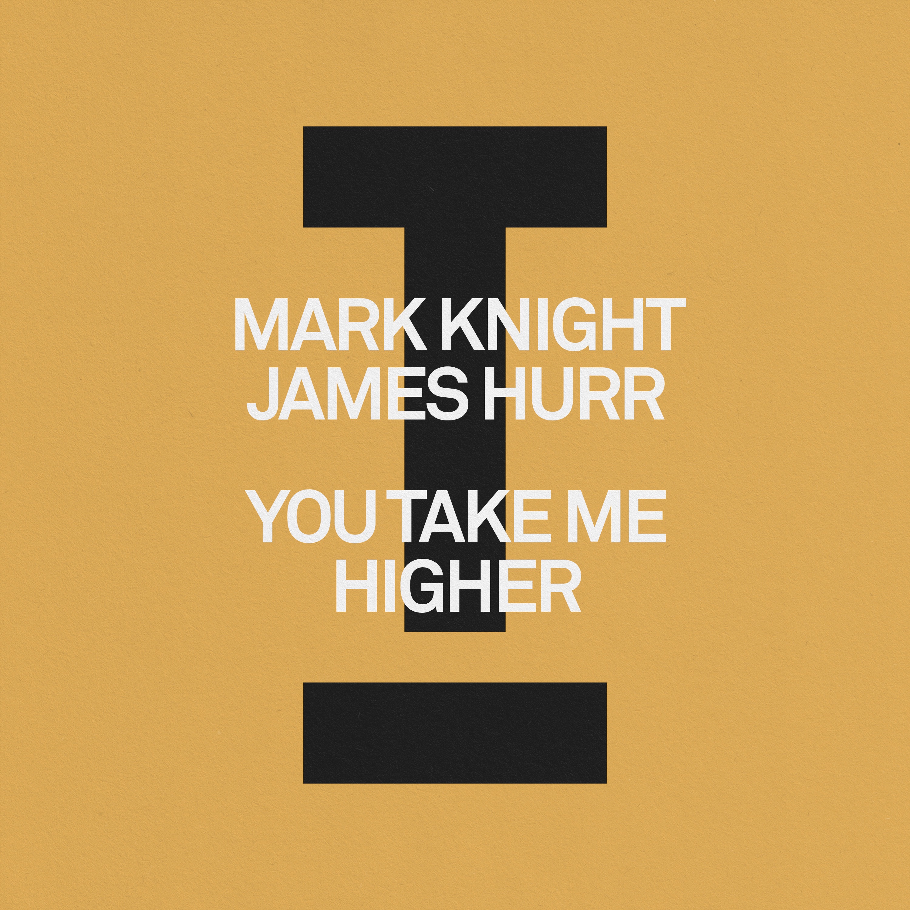 You Take Me Higher - Single album cover