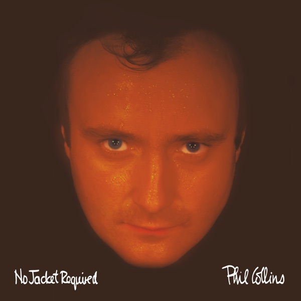 No Jacket Required (2025 Mix) album cover